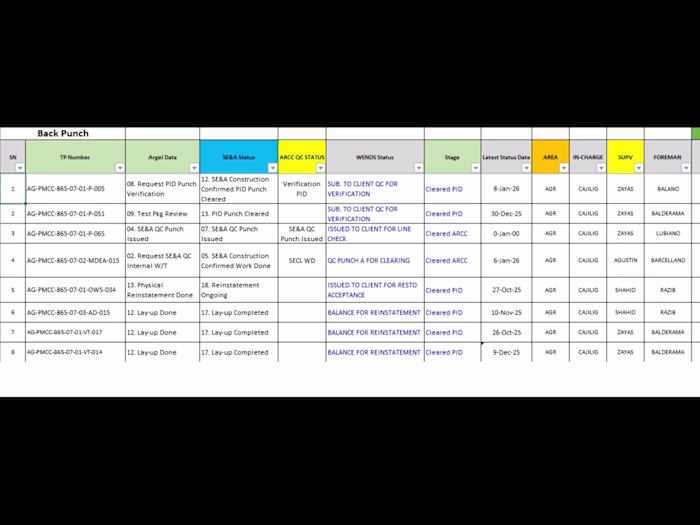 Completed an Excel data entry