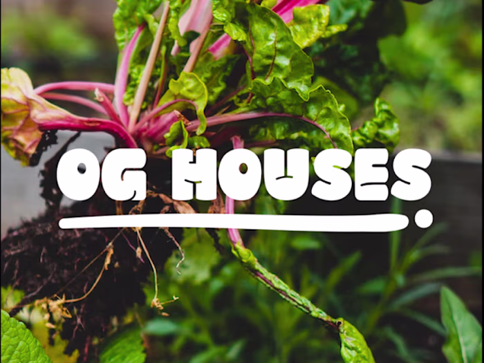 Visual identity design for OG Houses