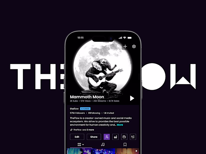 TheFlow UX/UI Design