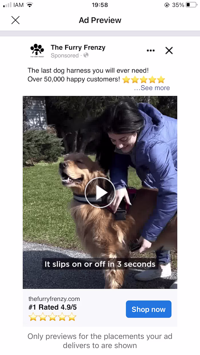 Facebook/Instagram Advertising Results & Examples
