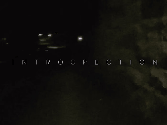 Introspection