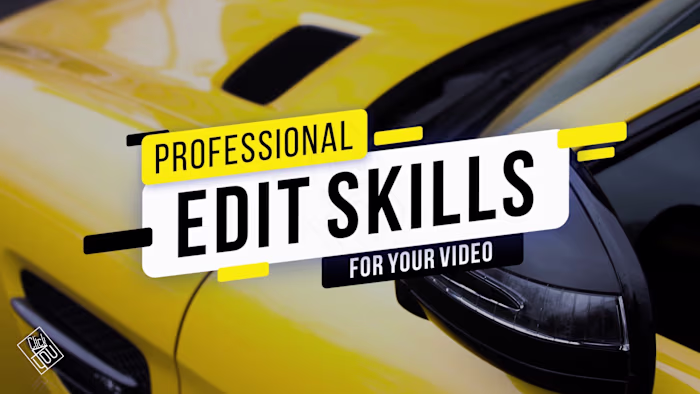 Professional Edit Skill for you video