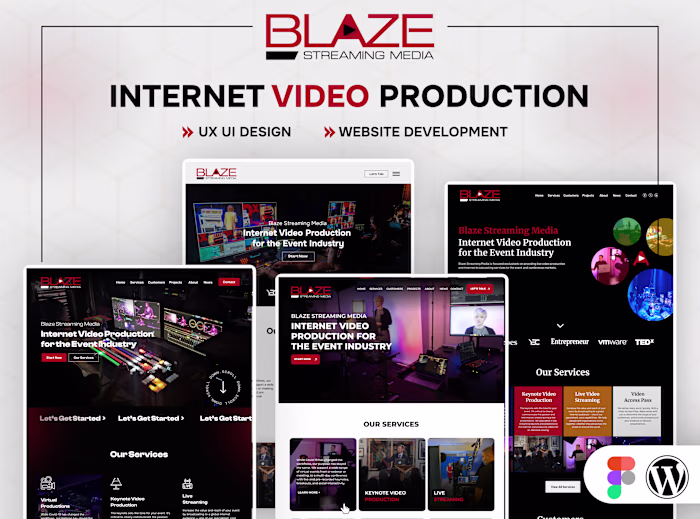 Blaze Streaming Media Website Design & Development