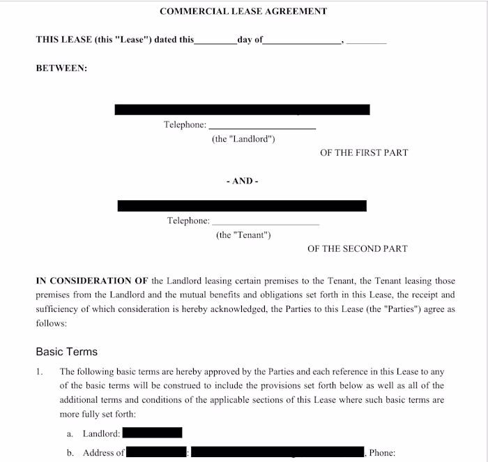 Commercial Lease Agreement — Drafting