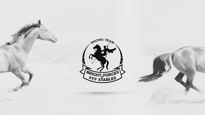Logo Design for Equestrian Team