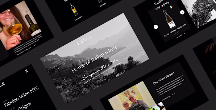 Marketing E-Commerce Webflow Site