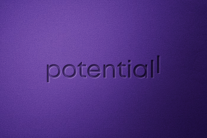 Potentiall | Brand Identity
