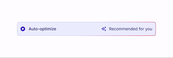 ✨🔄 Auto-optimization