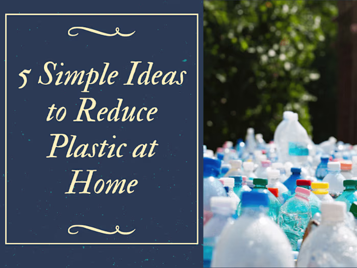 SEO Blog Writing: 5 Simple Ideas to Reduce Plastic at Home