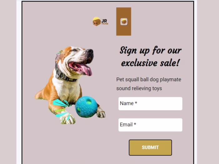 Landing page design, Form page & Thank you page, Campaign design