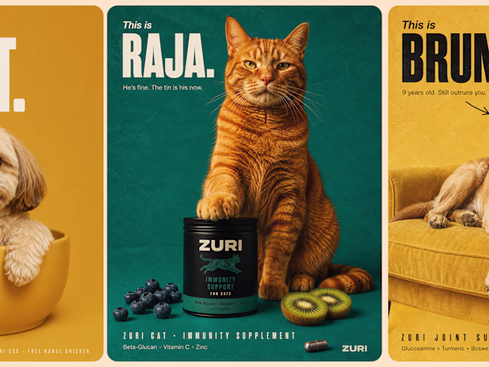 Pet supplements that actually have