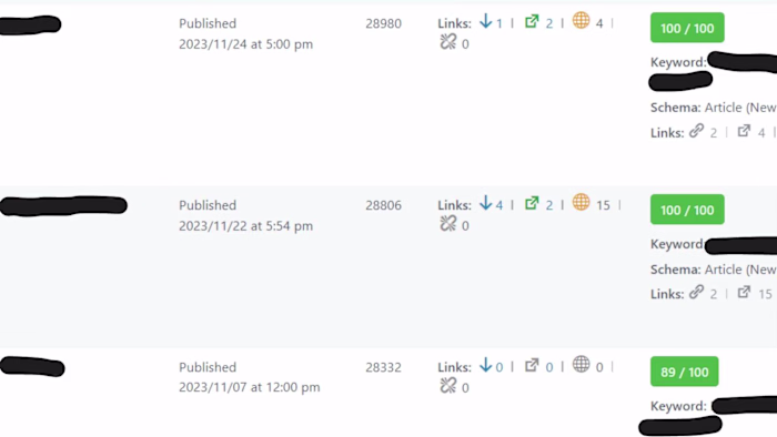 On-page SEO execution: 100/100 optimization scores
