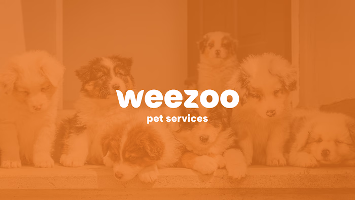 Weezoo