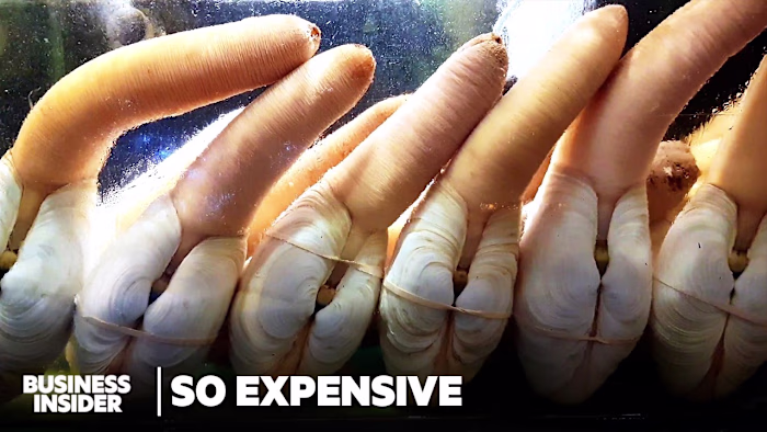 Geoduck Industry Market Risk Analysis