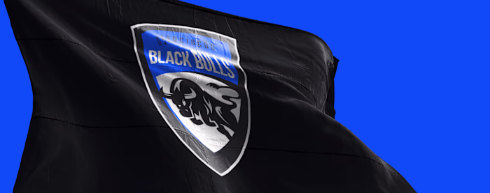 Black Bulls Logo