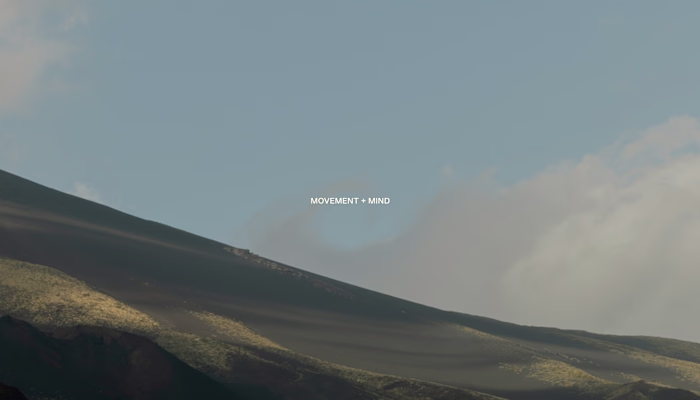 Brand Identity | Phlo City Yoga