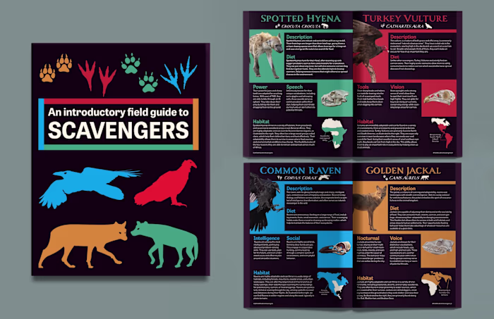Scavengers Field Guide