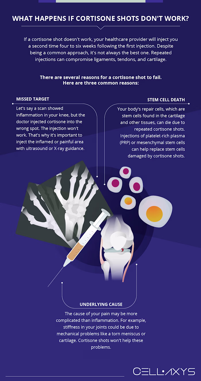 Infographics 📊