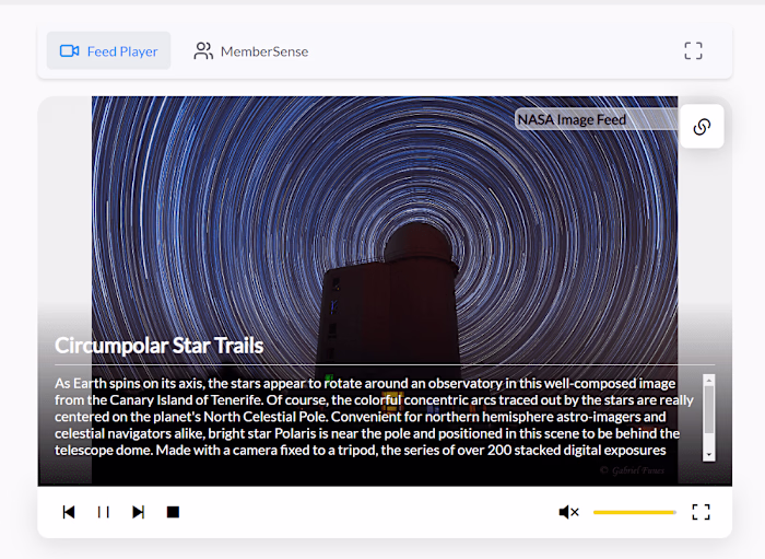 Feed Player: An Interactive UI Tool for Image and Video Display