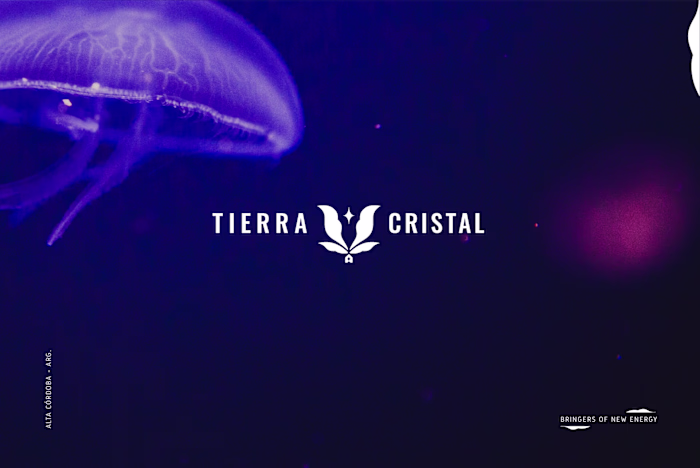 Brand Identity for Holistic Studio