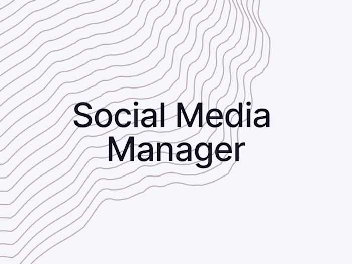 Social Media Manager | Veneziano & Partner