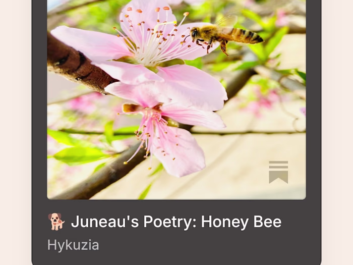 My newest Substack post is