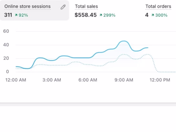 SEO Optimization Success Story