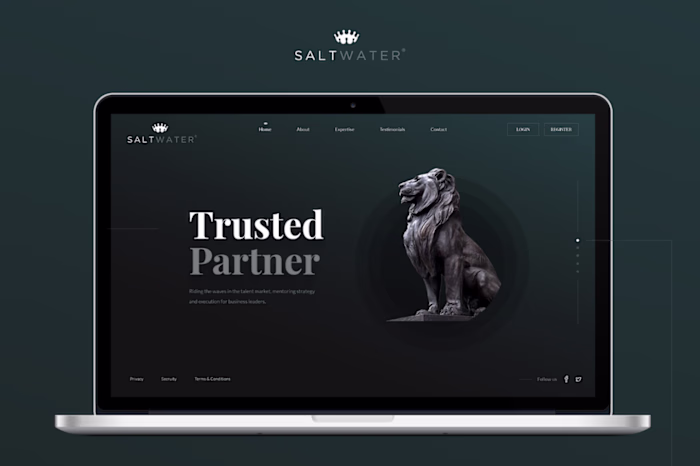 Saltwater -Website