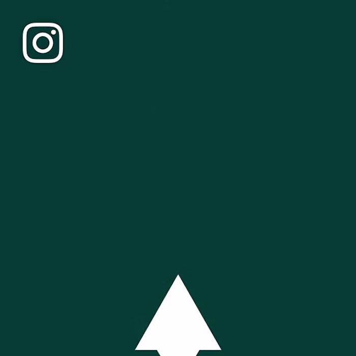 Vyperion - Brand Identity