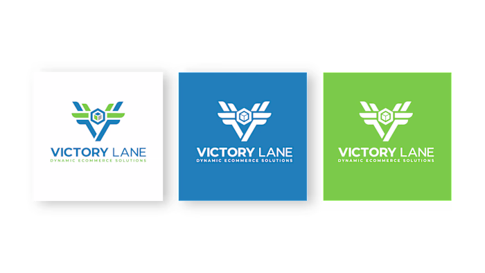 Logo design and Brand guidelines for Victory Lane