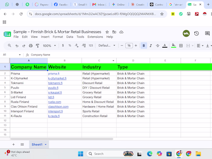 Sample – Finnish Brick & Mortar Retail Businesses