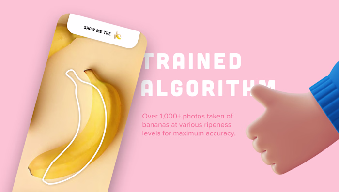 Nanner Scanner