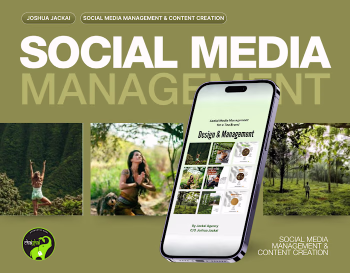 Meta & Instagram Feed Design & Management