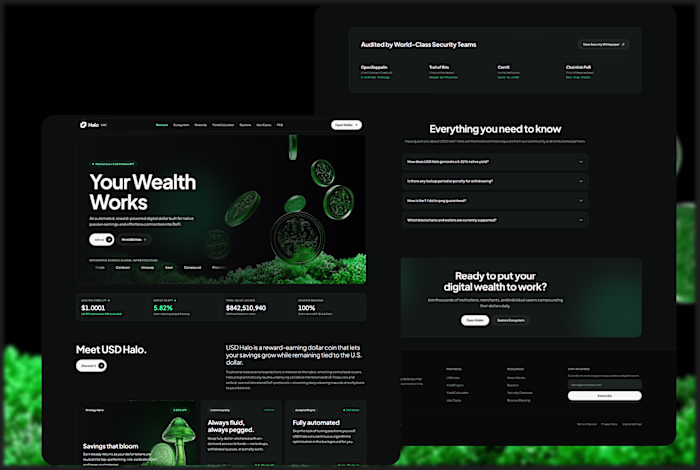 Modern USD Halo Stablecoin Landing Page Design