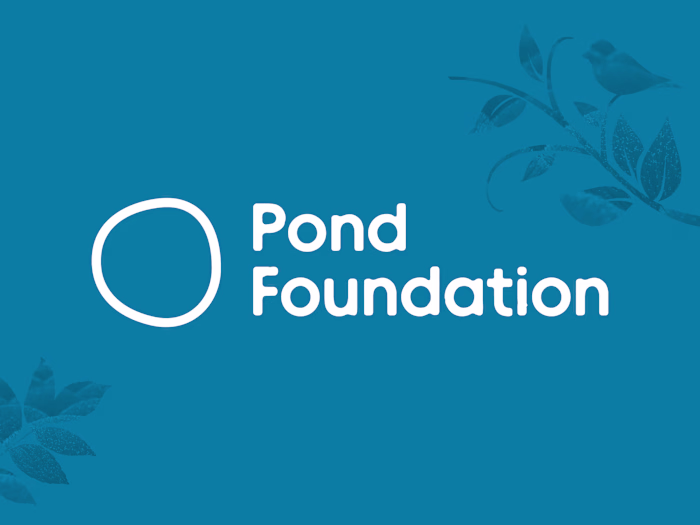 Pond Foundation Brand Identity and Website Redesign