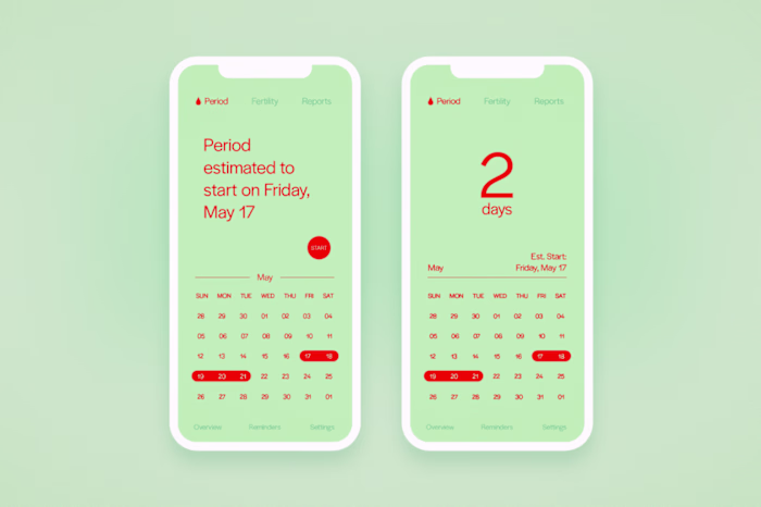Period Tracker Concept