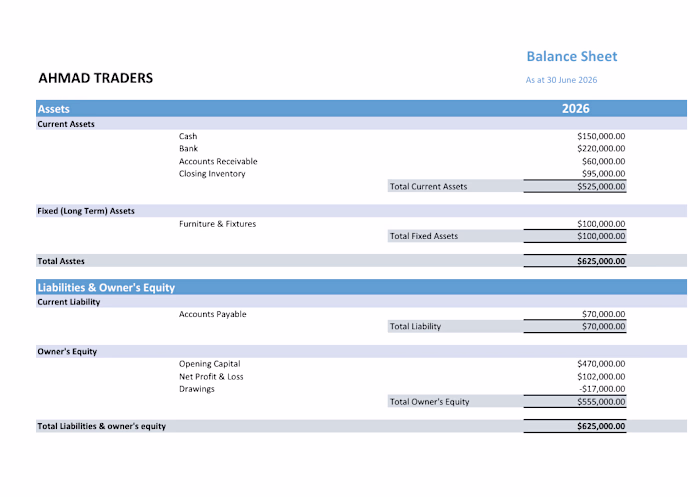 "Prepared a complete Balance Sheet