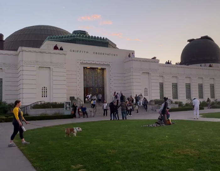 Adobe MAX 2019
