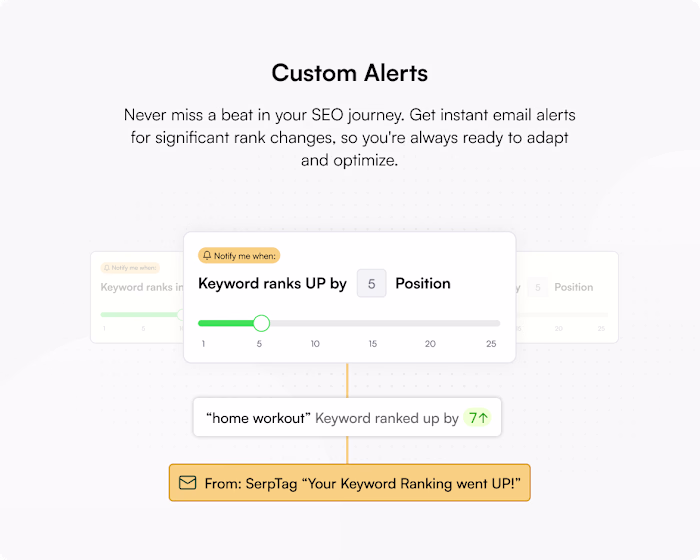 Some website illustrations I made for an SEO SaaS Platform.