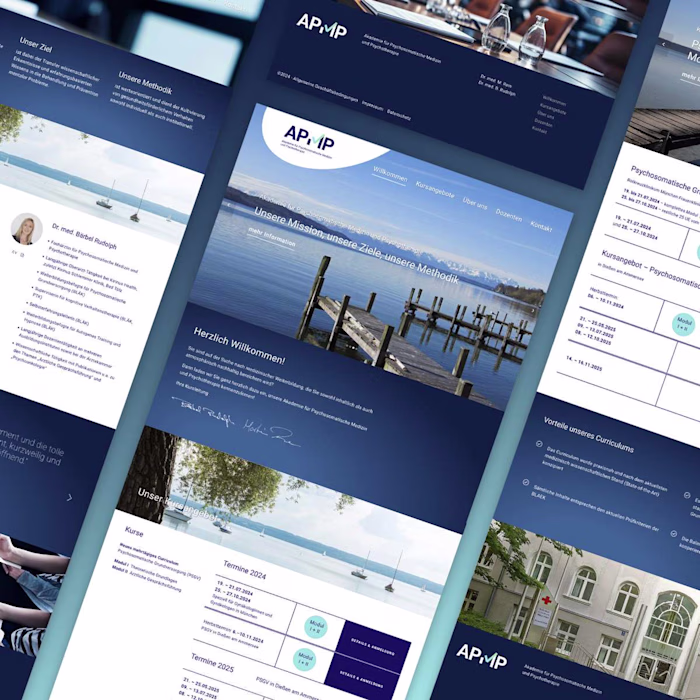APMP - Academy / Wordpress website