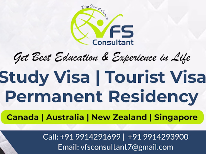 VFS Consultant