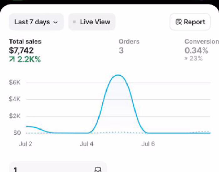 SHOPIFY SALES Proof 2 (After 2 months of Marketing)