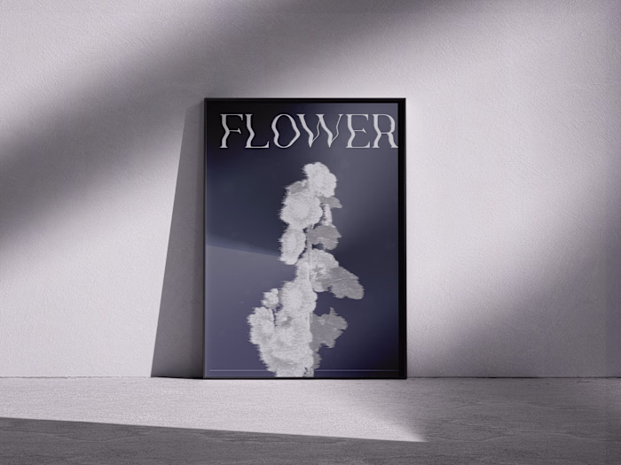 Poster Design