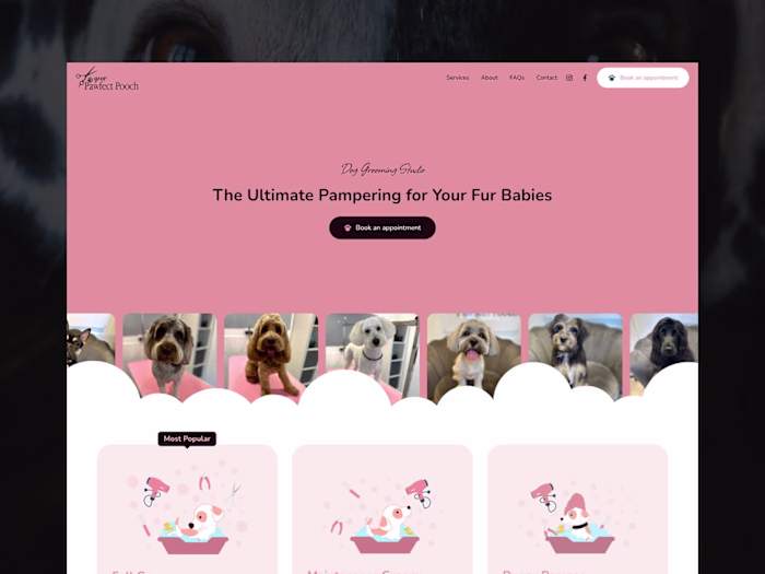 Your Pawfect Pooch