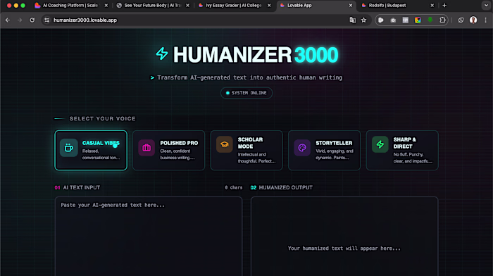 Humanizer3000: Text Naturalizer App Development