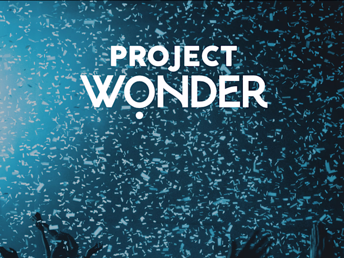 Project Wonder Website Design