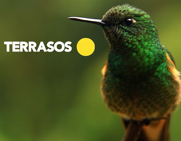 TERRASOS | Director/Realizador | 2023