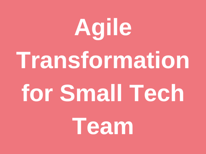 Agile Transformation for Small Tech Team