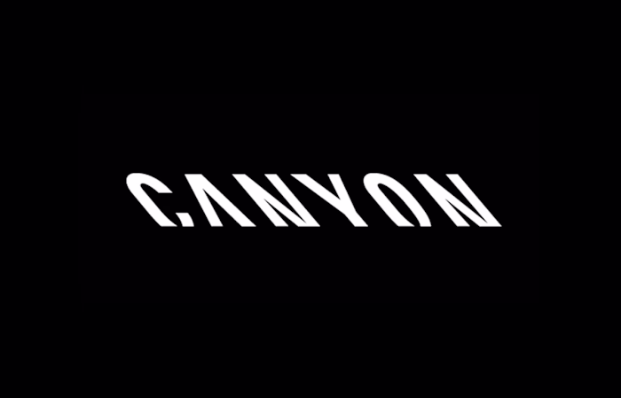 Canyon Bicycles - UX Design projects