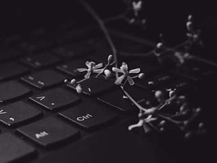 article writwer